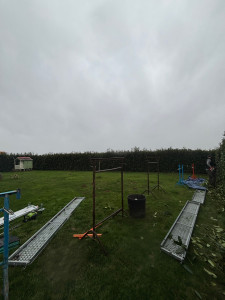 Photo de galerie - Taille de haies et d'arbustes