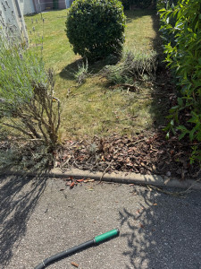 Photo de galerie - Maçonnerie