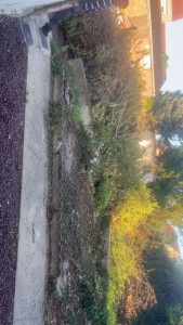 Photo de galerie - Nettoyage terrain 