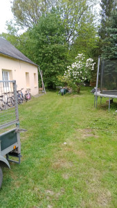 Photo de galerie - Tonte de pelouse - Débroussaillage