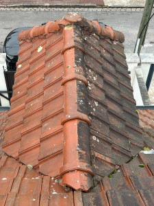 Photo de galerie - Nettoyage Toiture