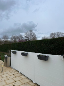 Photo de galerie - Taille de haies et d'arbustes