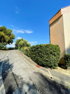 Photo de galerie - Taille de haies et d'arbustes