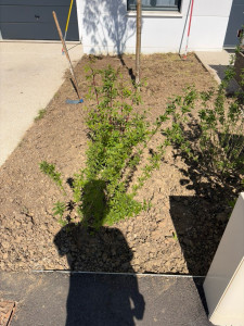 Photo de galerie - Avant 