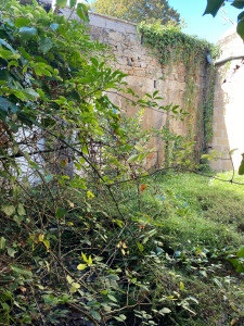 Photo de galerie - Taille