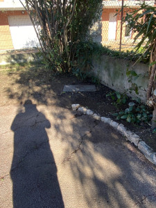 Photo de galerie - Jardinier