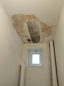 Photo de galerie - Bricolage et multi services