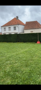 Photo de galerie - Taille de haie 