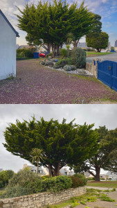 Photo de galerie - Taille