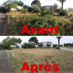 Photo de galerie - Débroussaillage+ tondage 