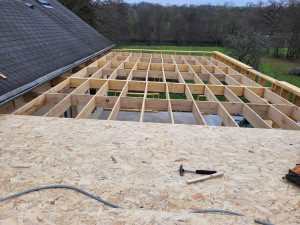 Photo de galerie - Ossature bois