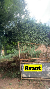 Photo de galerie - Taille de haies et d'arbustes