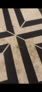 Photo de galerie - Préparation - nettoyage de salle