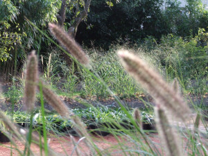Photo de galerie - Paysagiste - Aménagement du jardin
