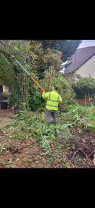Photo de galerie - Elagage et coupe d'arbres
