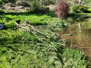 Photo de galerie - Bassin