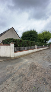 Photo de galerie - Taille de haie laurier 