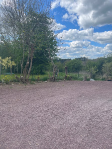 Photo de galerie - élagage 