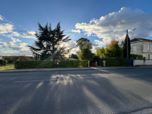 Photo de galerie - Une taille de haie terminée