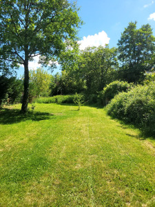 Photo de galerie - Bonjour, je propose mes services. Jardinageélagage et  autre 