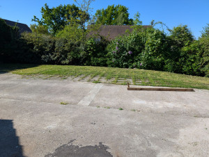 Photo de galerie - Tonte de pelouse - Débroussaillage