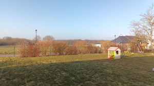 Photo de galerie - Taille en tout genre
tonte
abattage d'un arbre
désherbage... 