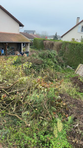 Photo de galerie - Débarras suite à une taille de haies 