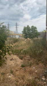 Photo de galerie - Avant tonte et débroussaillage 