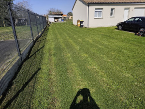 Photo de galerie - Tonte 