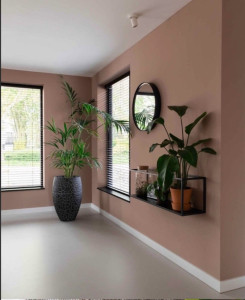 Photo de galerie - Je suis peintre professionnel et je suis disponible pour rendre belle vos résidences , vous proposez la peinture et la couleur idéal aussi, un travail propre et avec une bonne finition 