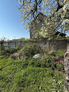 Photo de galerie - Avant 