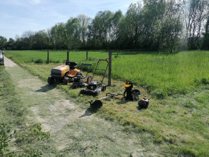 Photo de galerie - Tonte de pelouse - Débroussaillage