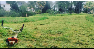 Photo de galerie - Tonte de pelouse - Débroussaillage