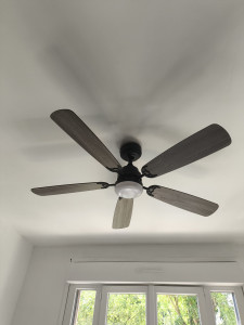 Photo de galerie - Installation d'un ventilateur avec éclairage 