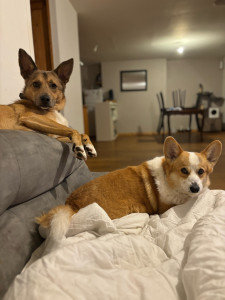 Photo de galerie - Petite sieste sur le canapé 