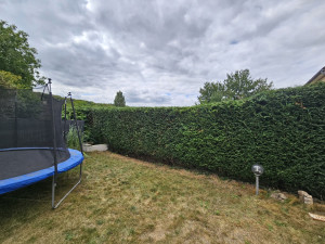 Photo de galerie - Taillage de haie 