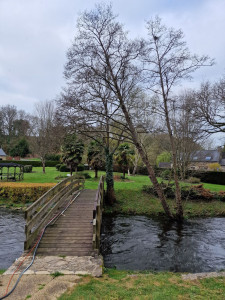 Photo de galerie - Elagage et coupe d'arbres