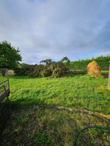 Photo de galerie - Avant réalisation 