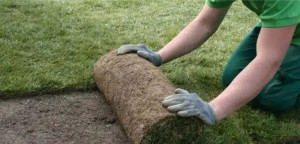 Photo de galerie - Pose de gazon