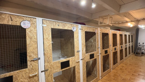 Photo de galerie - Nos chambres