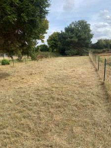 Photo de galerie - Débroussaillage 