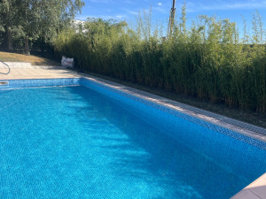 Photo de galerie - Entretien piscine