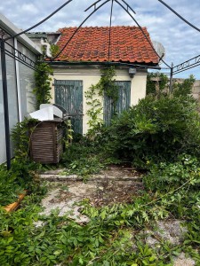 Photo de galerie - Paysagiste - Aménagement du jardin