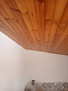 Photo de galerie - Teinture de plafond bois +vernis de finition 