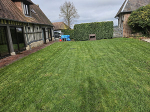 Photo de galerie - Tonte et debrousaillage

