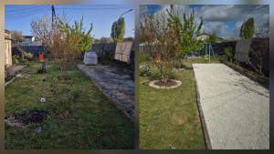 Photo de galerie - Tonte de pelouse + débroussaillage + rafraîchissement du terrain et terrain de boules 