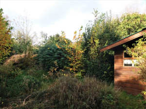Photo de galerie - Tonte de pelouse - Débroussaillage