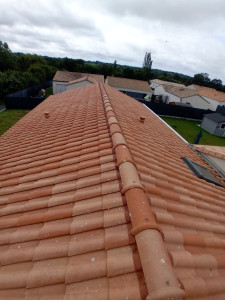 Photo de galerie - Traitement anti-mousse toiture tuile béton 