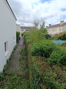 Photo de galerie - Taille de haies et d'arbustes