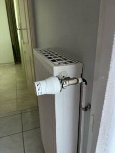 Photo de galerie - Remplacement tête thermostatique radiateur 
